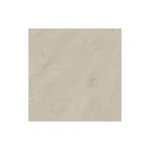 505831005