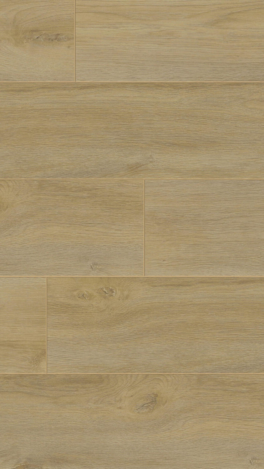 510037004