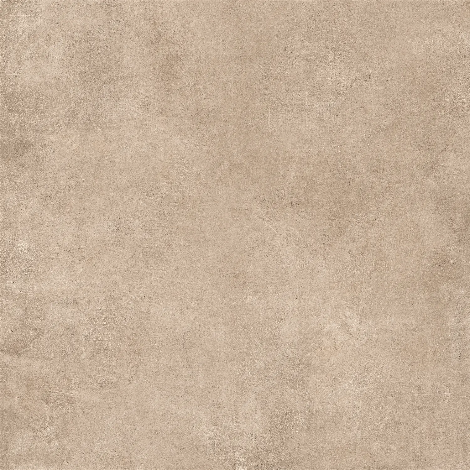 Y00560
