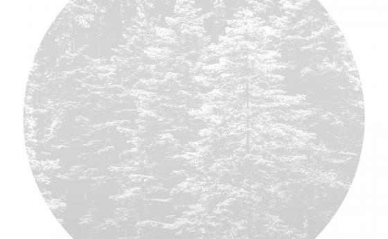 შპალერი Erismann Fashion for Walls 4 2553N-71