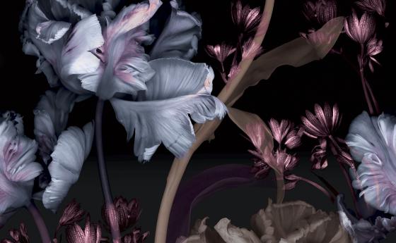 შპალერი Erismann Fashion for Walls 4 2540N-81