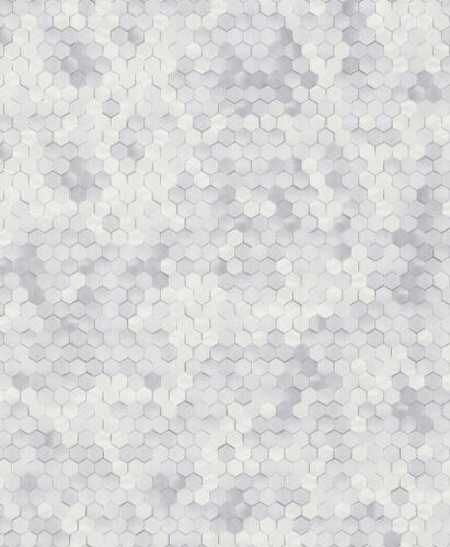 შპალერი BN Walls Dimensions by Edward van Vliet 219580